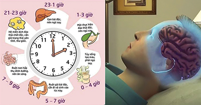 Khung giờ vàng của giấc ngủ giúp con người khỏe mạnh và trường thọ
